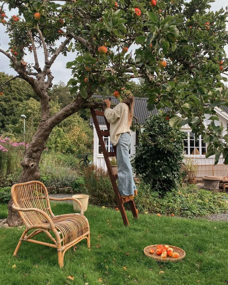 Woman picking apples in a garden